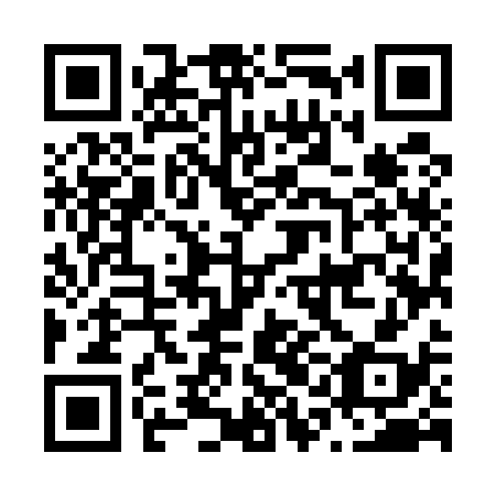 QR code for N1M 538