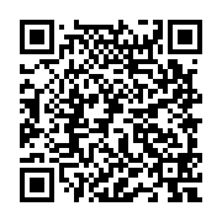 QR code for N1M198