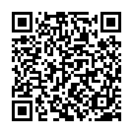 QR code for plate N1M 253