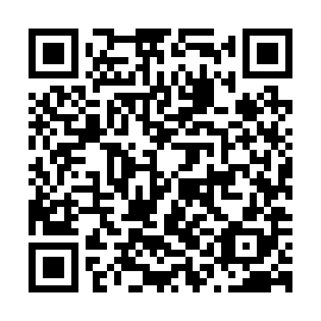 QR code for plate N1M 288