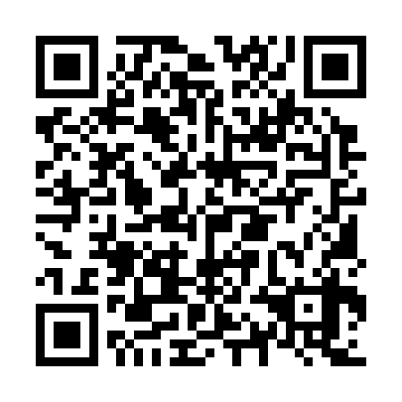 QR code for N1M338
