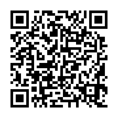 QR code for N1M370