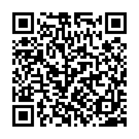 QR code for plate N1M 593