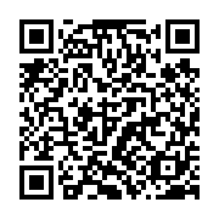 QR code for plate N1M 651