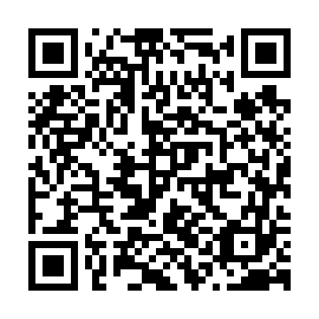 QR code for plate N1M 663
