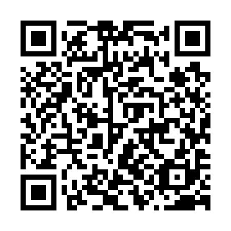 QR code for plate N1M 790