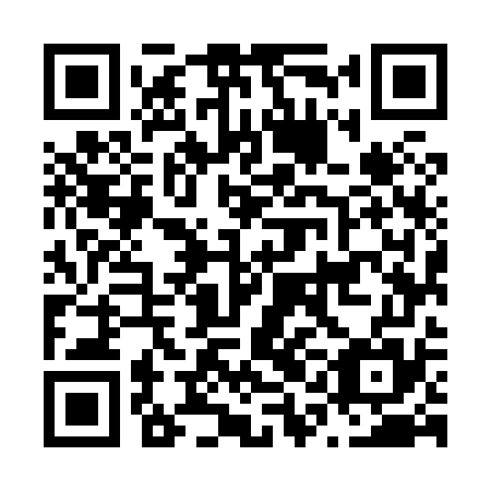 QR code for plate N1M 875