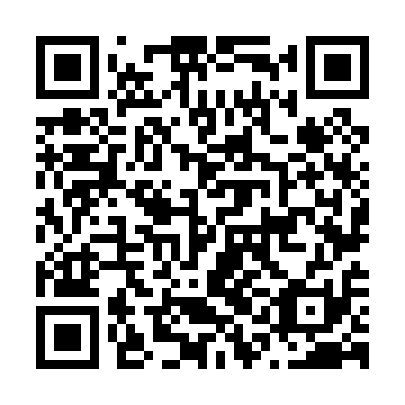 QR code for N1N 011