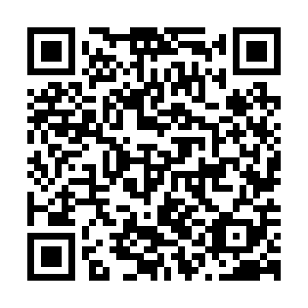 QR code for N1N 209