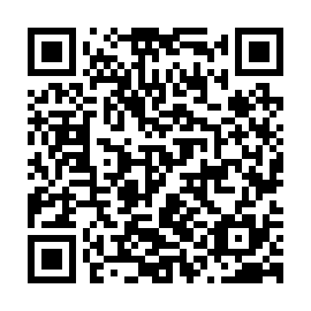 QR code for N1N 235