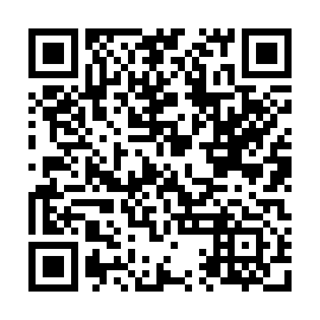 QR code for N1N 313