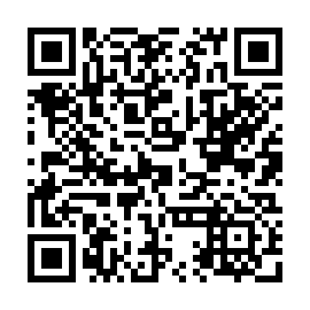 QR code for N1N 333