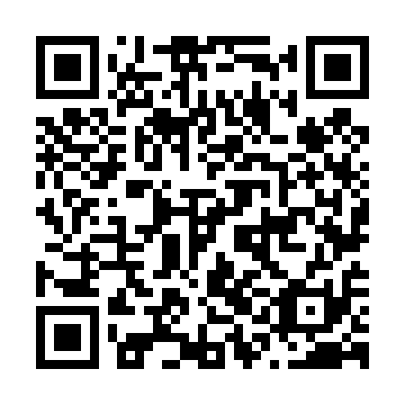 QR code for N1N 411
