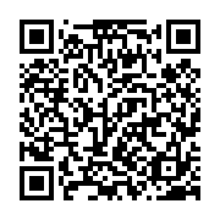 QR code for N1N 433