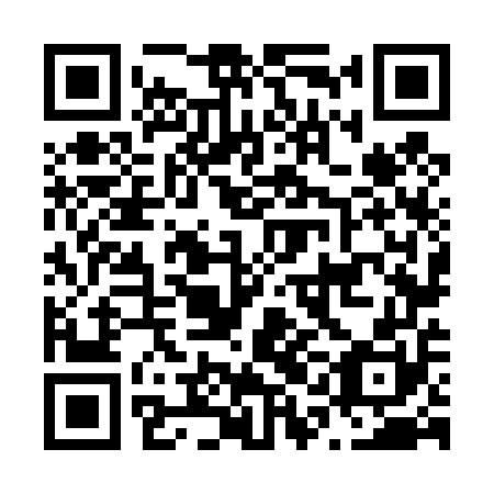 QR code for N1N 450