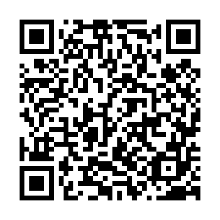 QR code for N1N 452