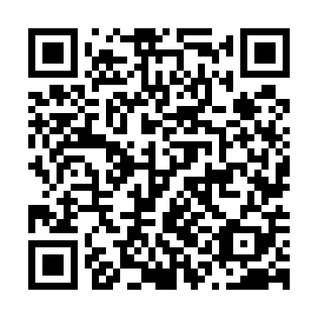QR code for N1N 509