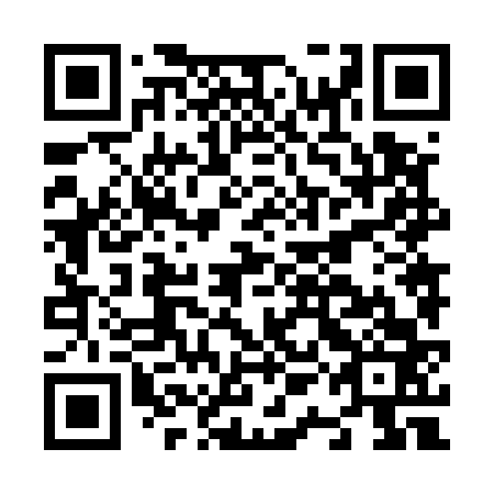 QR code for N1N 563