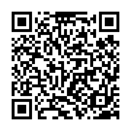 QR code for N1N 613