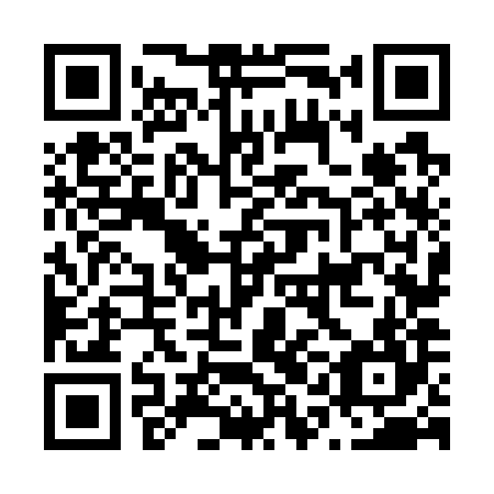 QR code for N1N 784