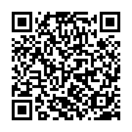 QR code for N1N 871