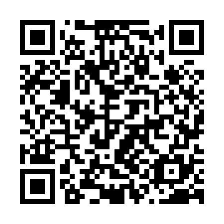 QR code for N1N 875