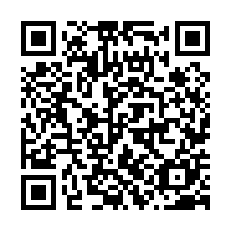 QR code for plate N1N 105