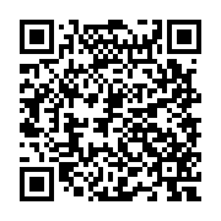 QR code for plate N1N 157