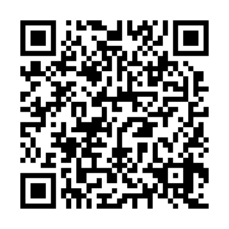 QR code for N1N238