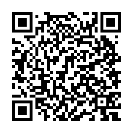QR code for N1N271