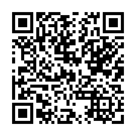 QR code for N1N331