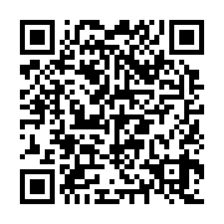 QR code for N1N339