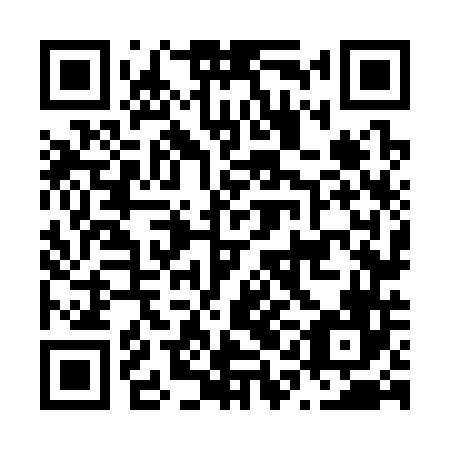 QR code for N1N346