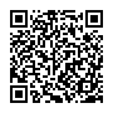 QR code for plate N1N 863