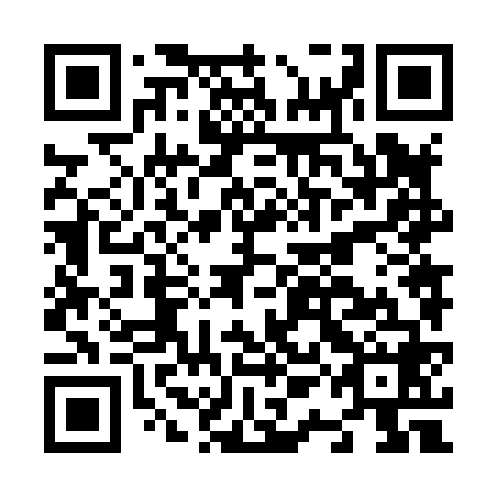 QR code for N1N868