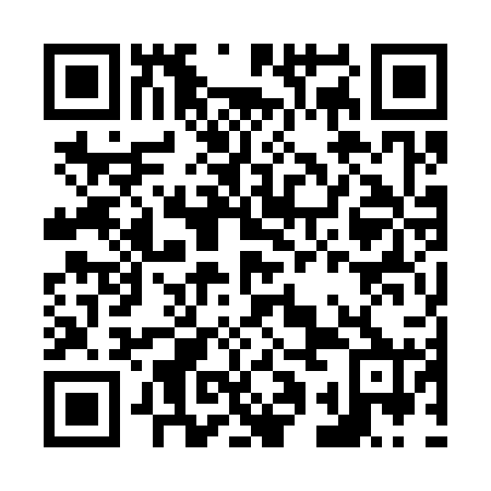 QR code for N1O 320