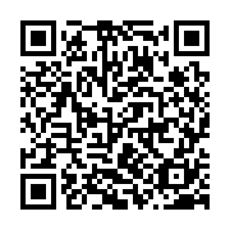 QR code for N1O 370