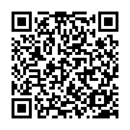 QR code for N1O 375