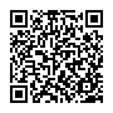 QR code for N1O 384