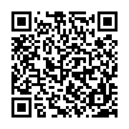 QR code for N1O 596