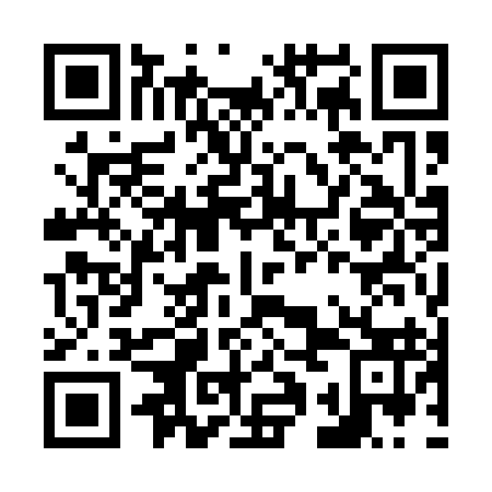QR code for N1O193