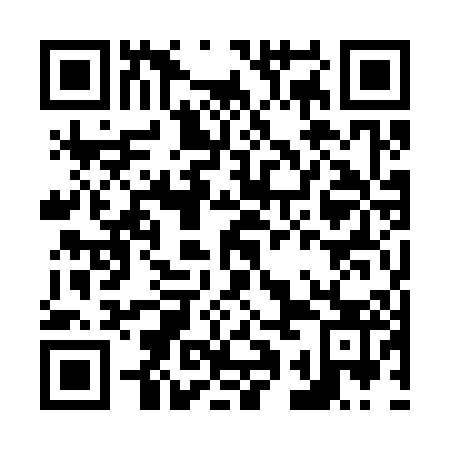 QR code for N1O303