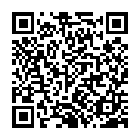 QR code for N1O503