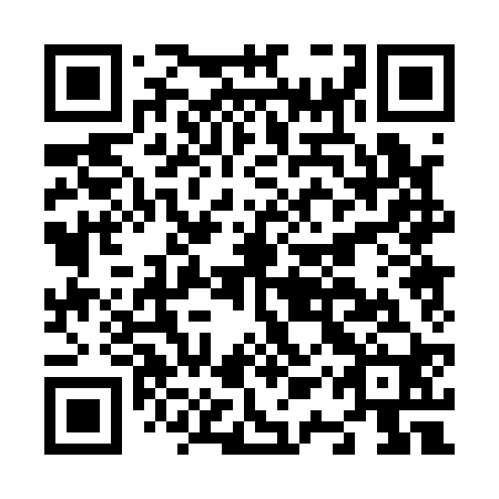 QR code for N1P 120