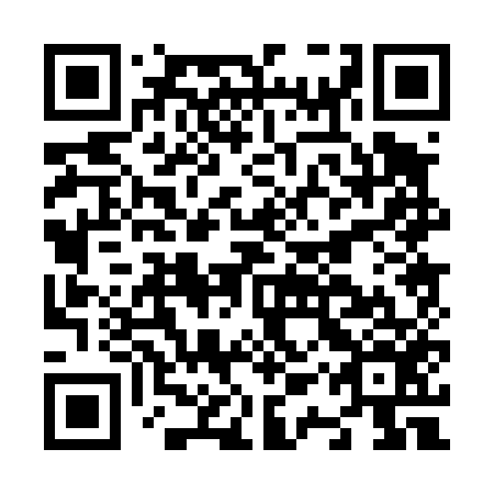 QR code for N1P 456