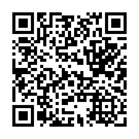 QR code for N1P 499