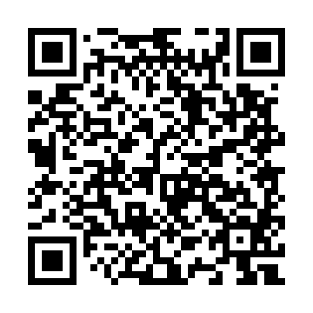 QR code for N1P 584