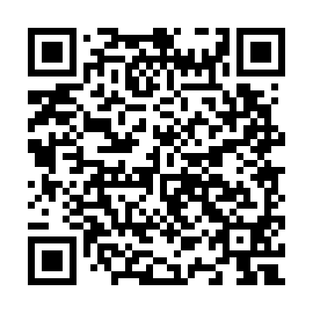 QR code for N1P 790
