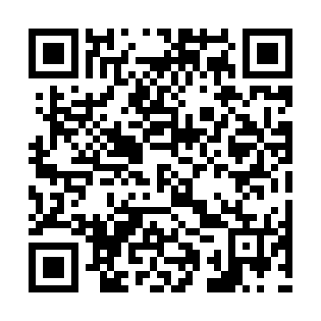 QR code for N1P 875