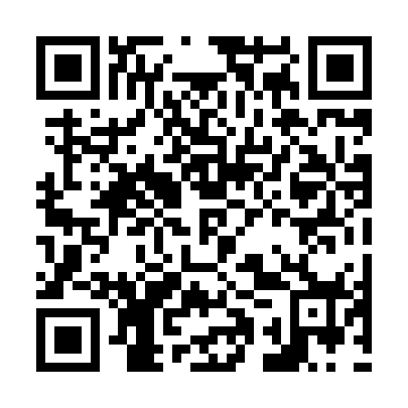 QR code for N1P 878